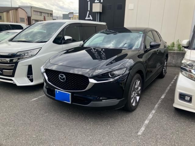 Japanese used car Ref# 1591906 MAZDA / CX-30