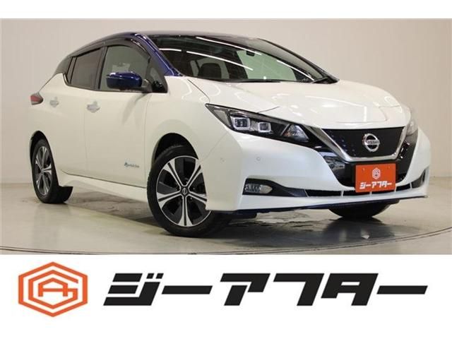 Japanese used car Ref# 1593018 NISSAN / LEAF