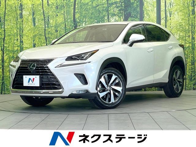 TOYOTA / LEXUS NX300