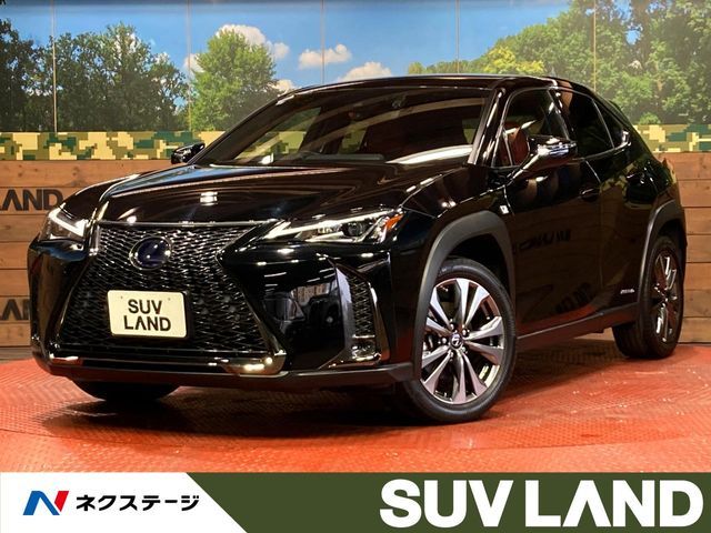 TOYOTA / LEXUS UX250h