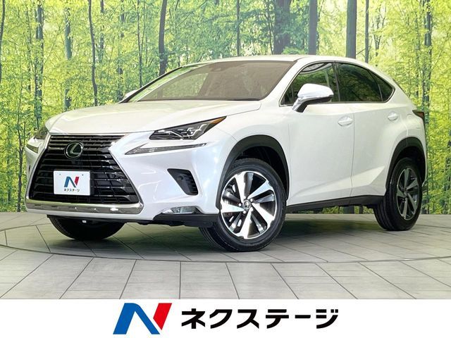 TOYOTA / LEXUS NX300