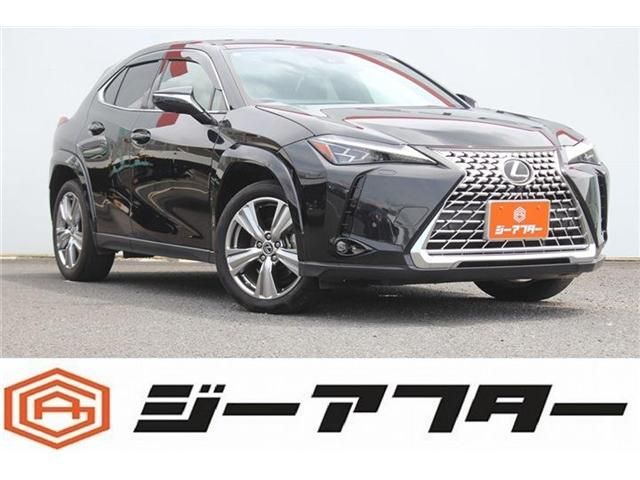 TOYOTA / LEXUS UX250h