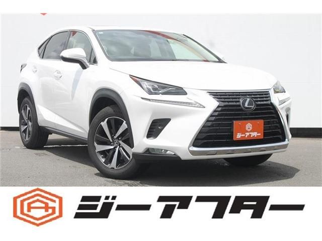 TOYOTA / LEXUS NX300