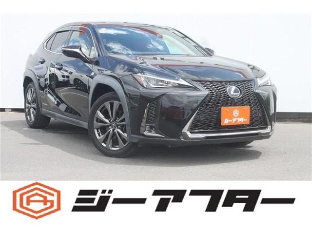 TOYOTA / LEXUS UX250h