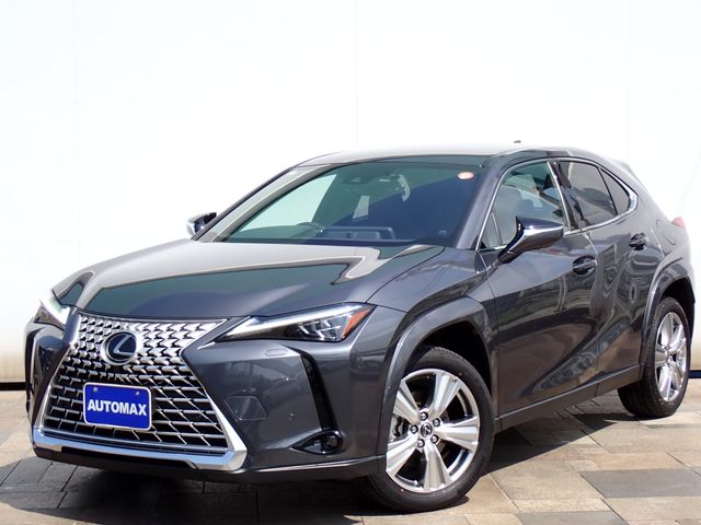 TOYOTA / LEXUS UX250h