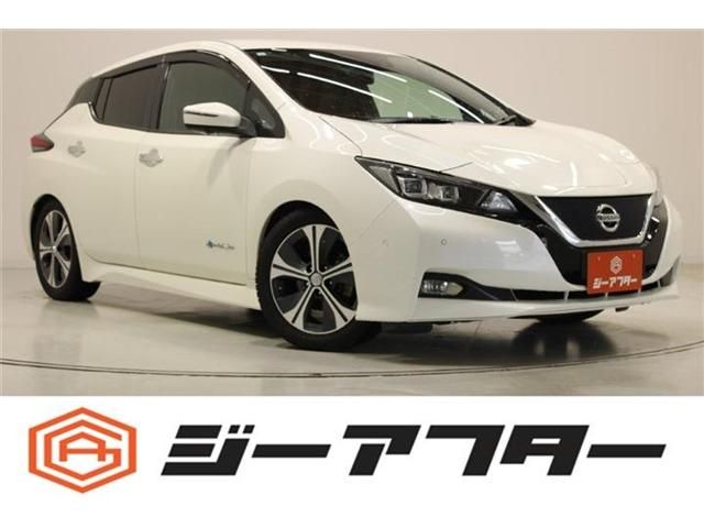 Japanese used car Ref# 1596624 NISSAN / LEAF