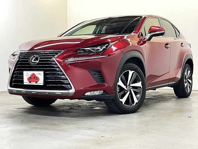 TOYOTA / LEXUS NX300