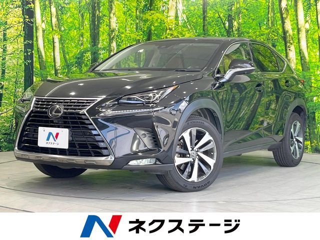 TOYOTA / LEXUS NX300