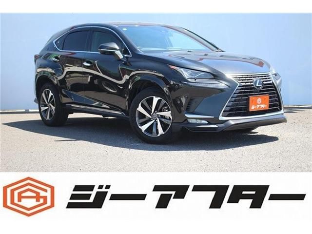 TOYOTA / LEXUS NX300