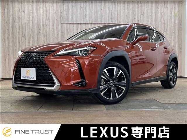 TOYOTA / LEXUS UX250h