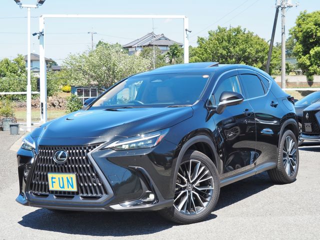 TOYOTA / LEXUS NX450h+ AWD