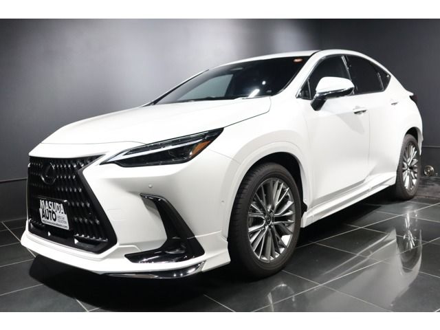 TOYOTA / LEXUS NX450h+ AWD