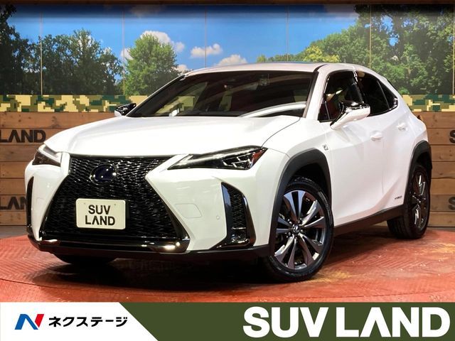 TOYOTA / LEXUS UX250h
