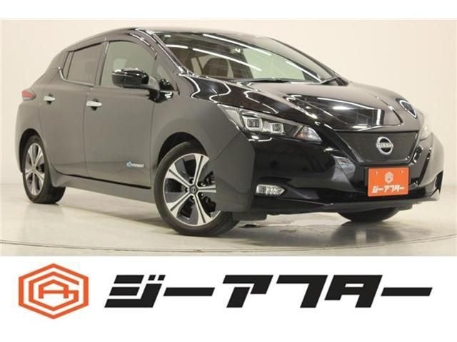 Japanese used car Ref# 1600642 NISSAN / LEAF