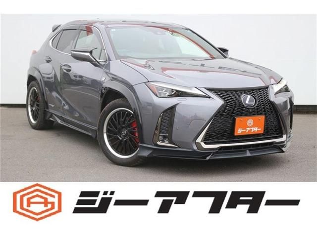 TOYOTA / LEXUS UX250h