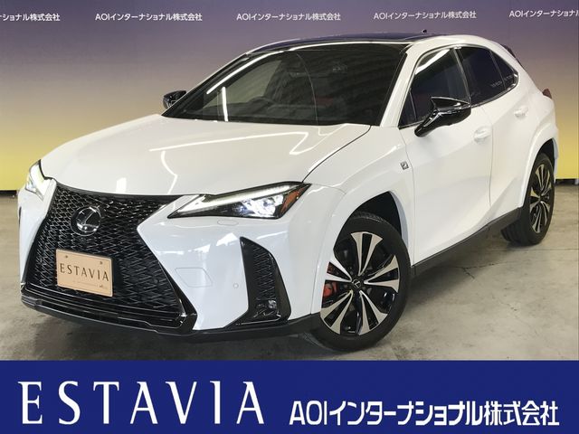 TOYOTA / LEXUS UX250h AWD