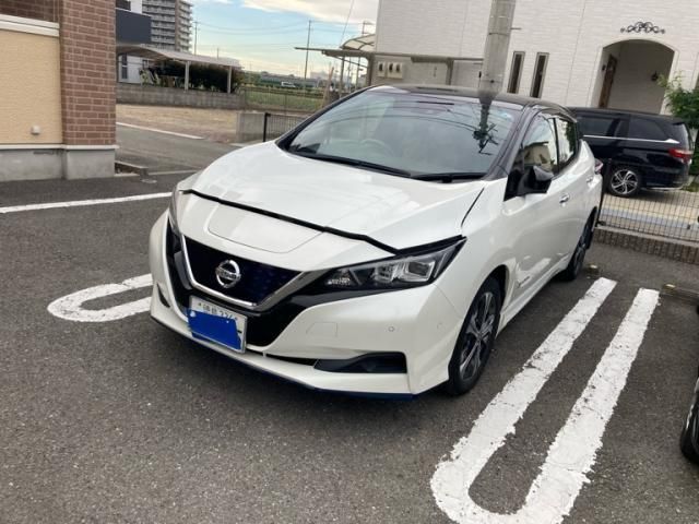 Japanese used car Ref# 1600959 NISSAN / LEAF