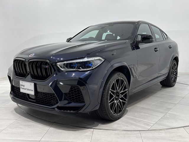 BMW / BMW X6 M