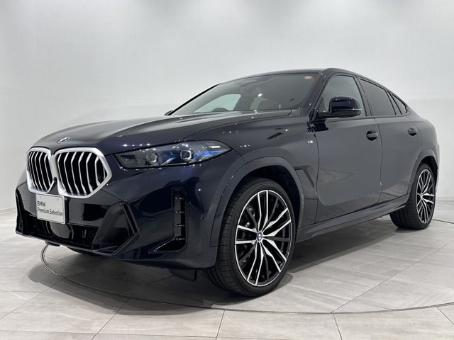 BMW / BMW X6