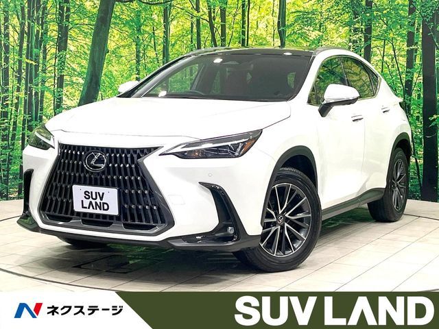 TOYOTA / LEXUS NX250