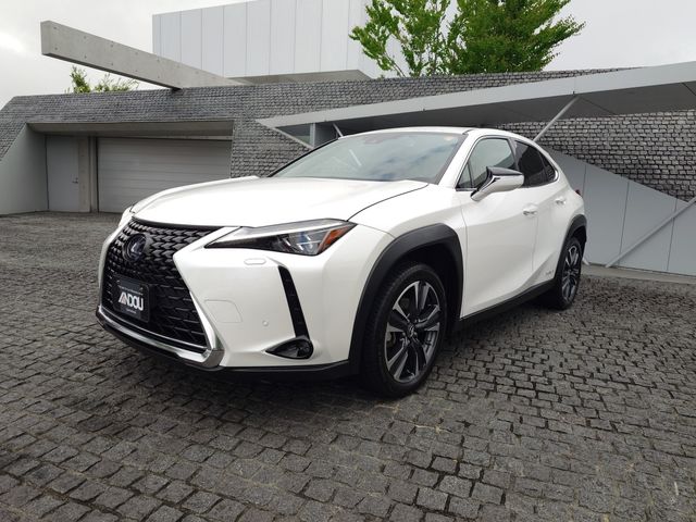TOYOTA / LEXUS UX250h