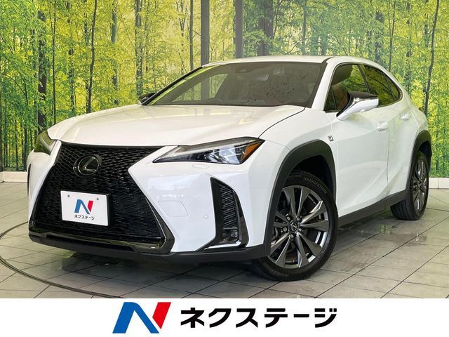 TOYOTA / LEXUS UX250h