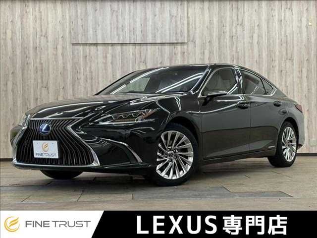 TOYOTA / LEXUS ES300h