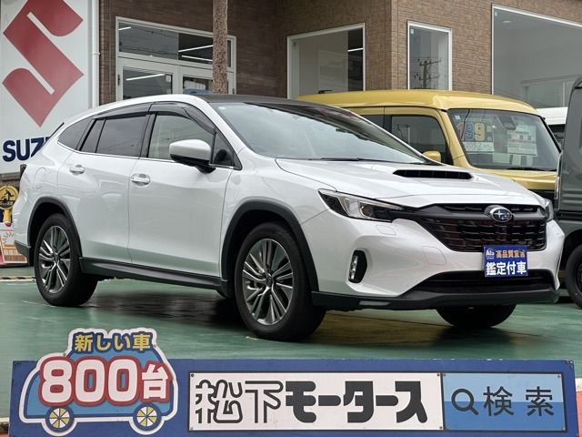 SUBARU / LEVORG LAYBACK