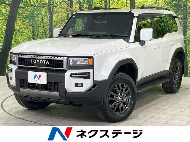 TOYOTA / LANDCRUISER 250
