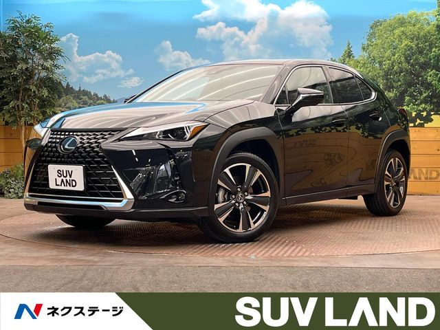 TOYOTA / LEXUS UX250h