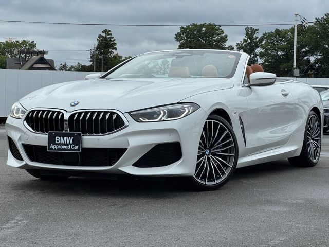 Japanese used car Ref# 1604138 BMW / BMW 8series open