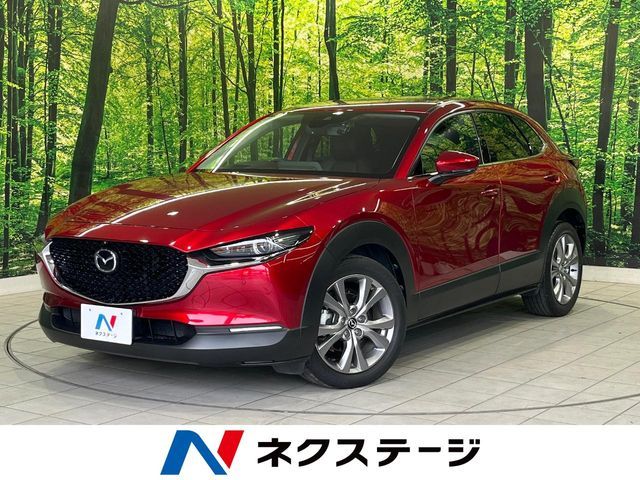 Japanese used car Ref# 1604825 MAZDA / CX-30