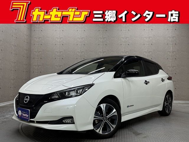 Japanese used car Ref# 1605598 NISSAN / LEAF