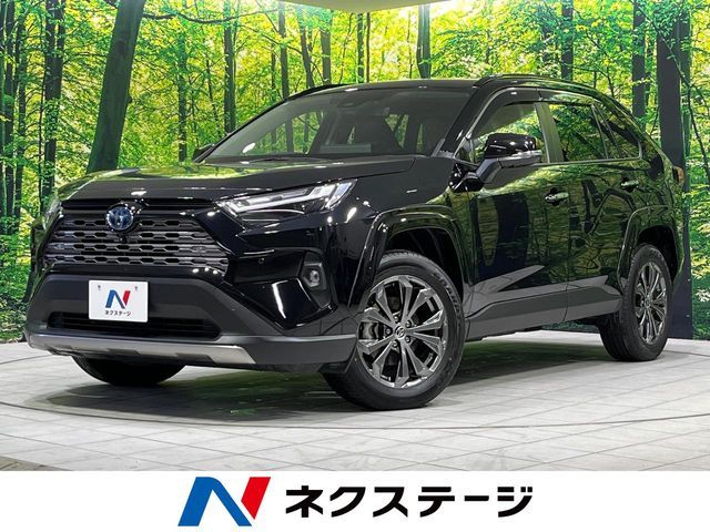 TOYOTA / RAV4 HYBRID 4WD