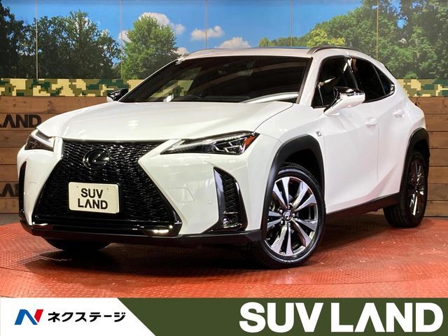 TOYOTA / LEXUS UX250h