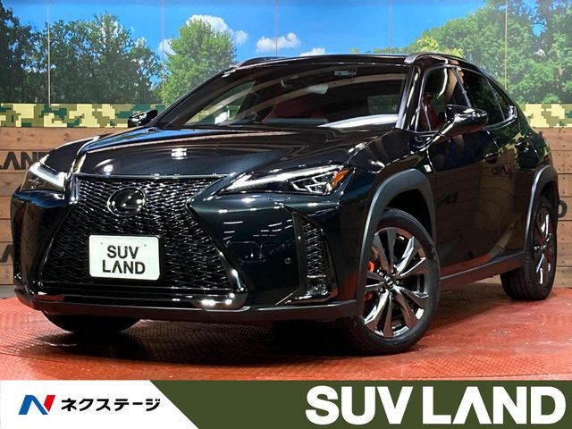 TOYOTA / LEXUS UX250h AWD