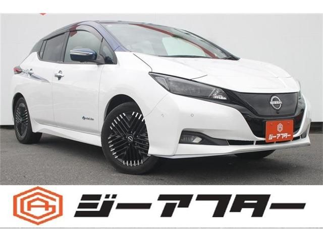NISSAN / LEAF