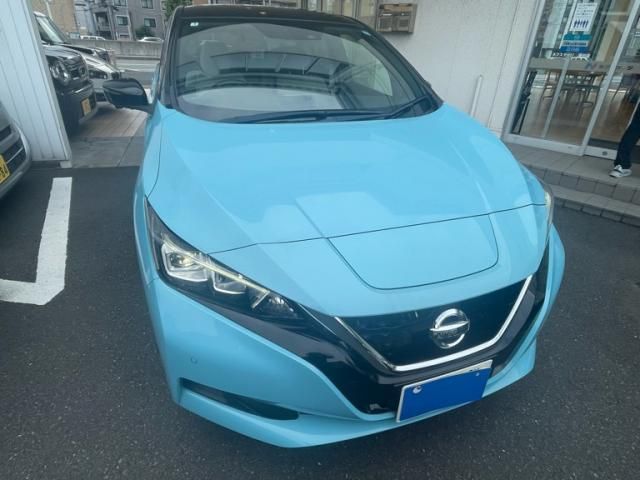Japanese used car Ref# 1606614 NISSAN / LEAF