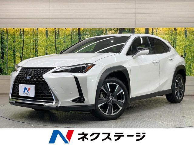 TOYOTA / LEXUS UX250h