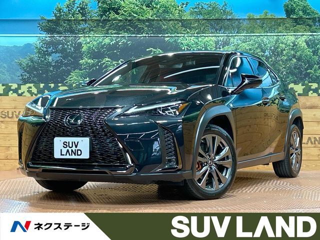 TOYOTA / LEXUS UX250h