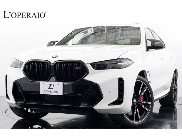 BMW / BMW X6