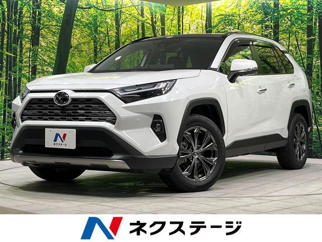 TOYOTA / RAV4 HYBRID 4WD