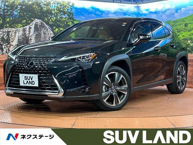 TOYOTA / LEXUS UX250h