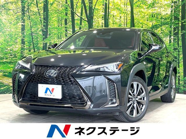TOYOTA / LEXUS UX250h