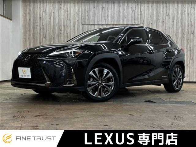 TOYOTA / LEXUS UX250h