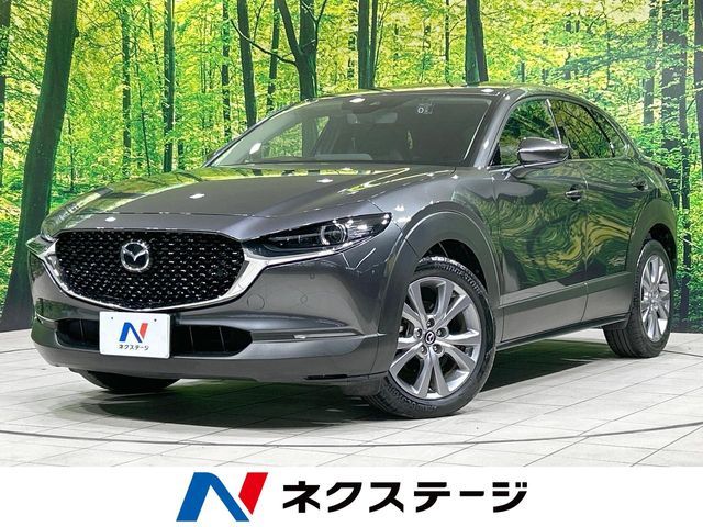Japanese used car Ref# 1609730 MAZDA / CX-30