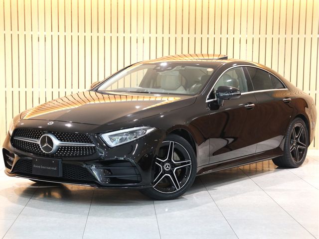 MERCEDES BENZ / MERCEDES BENZ CLS class
