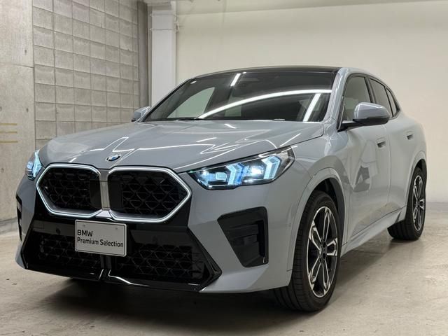 BMW / BMW X2