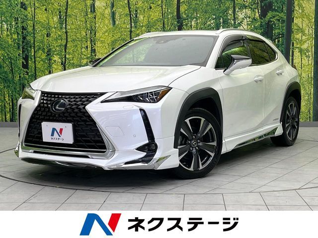 TOYOTA / LEXUS UX250h