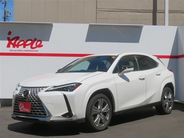 TOYOTA / LEXUS UX250h